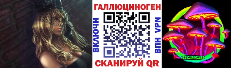 площадка Telegram  Хабаровск  Псилоцибиновые грибы Psilocybe 
